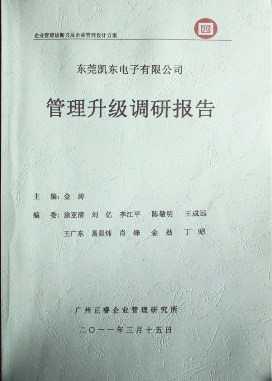 2011年3月15日，正睿咨詢專家向凱東決策層陳述調(diào)研報(bào)告