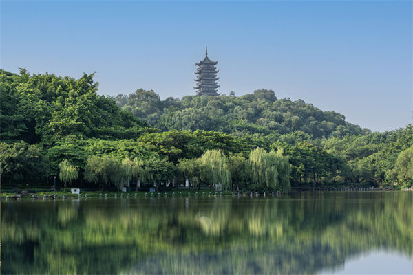 如何評(píng)估佛山集團(tuán)管控咨詢公司的服務(wù)質(zhì)量和效果？