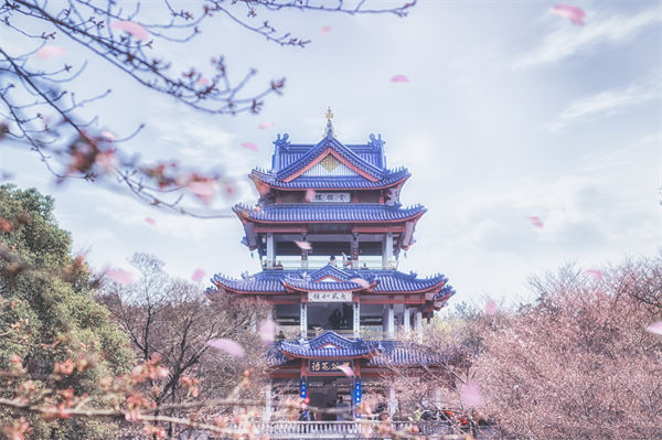 供應(yīng)鏈成本居高不下，無(wú)錫供應(yīng)鏈咨詢公司如何精準(zhǔn)砍出利潤(rùn)空間？